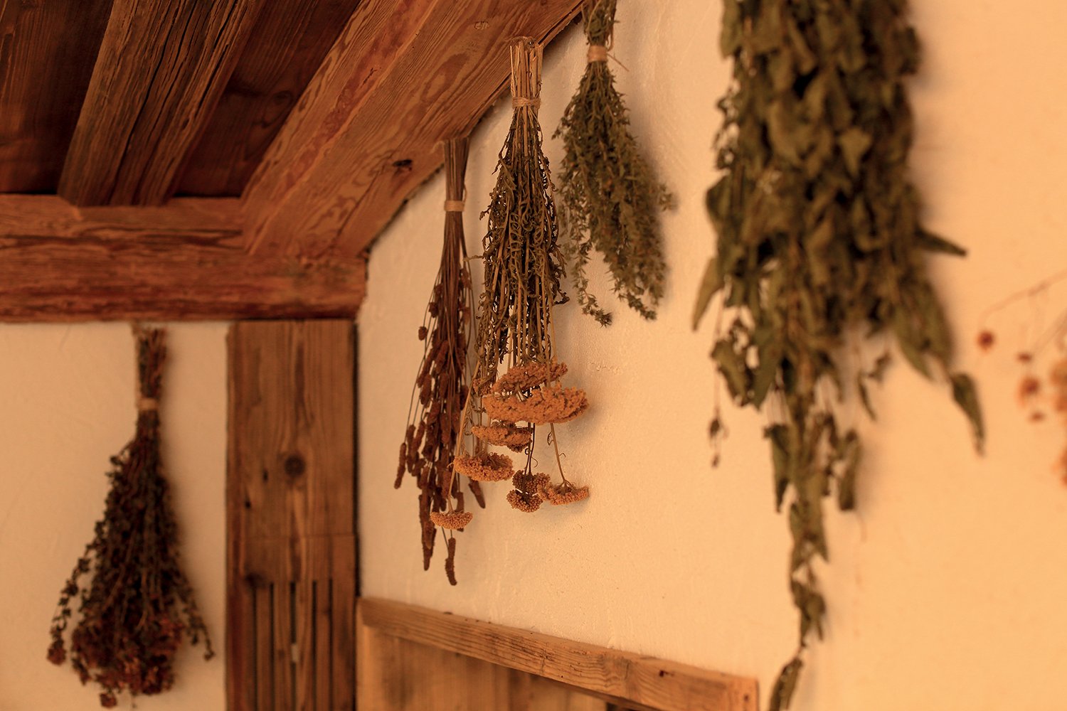 2013_02_step_bylinkova sauna detail